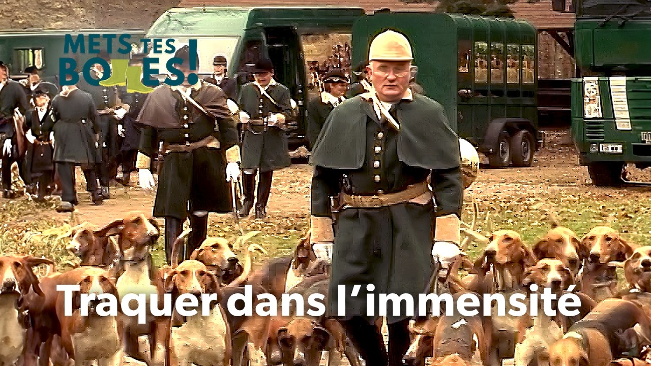 Immersion dans la chasse au grand gibier en for&ecirc;t de Tron&ccedil;ais