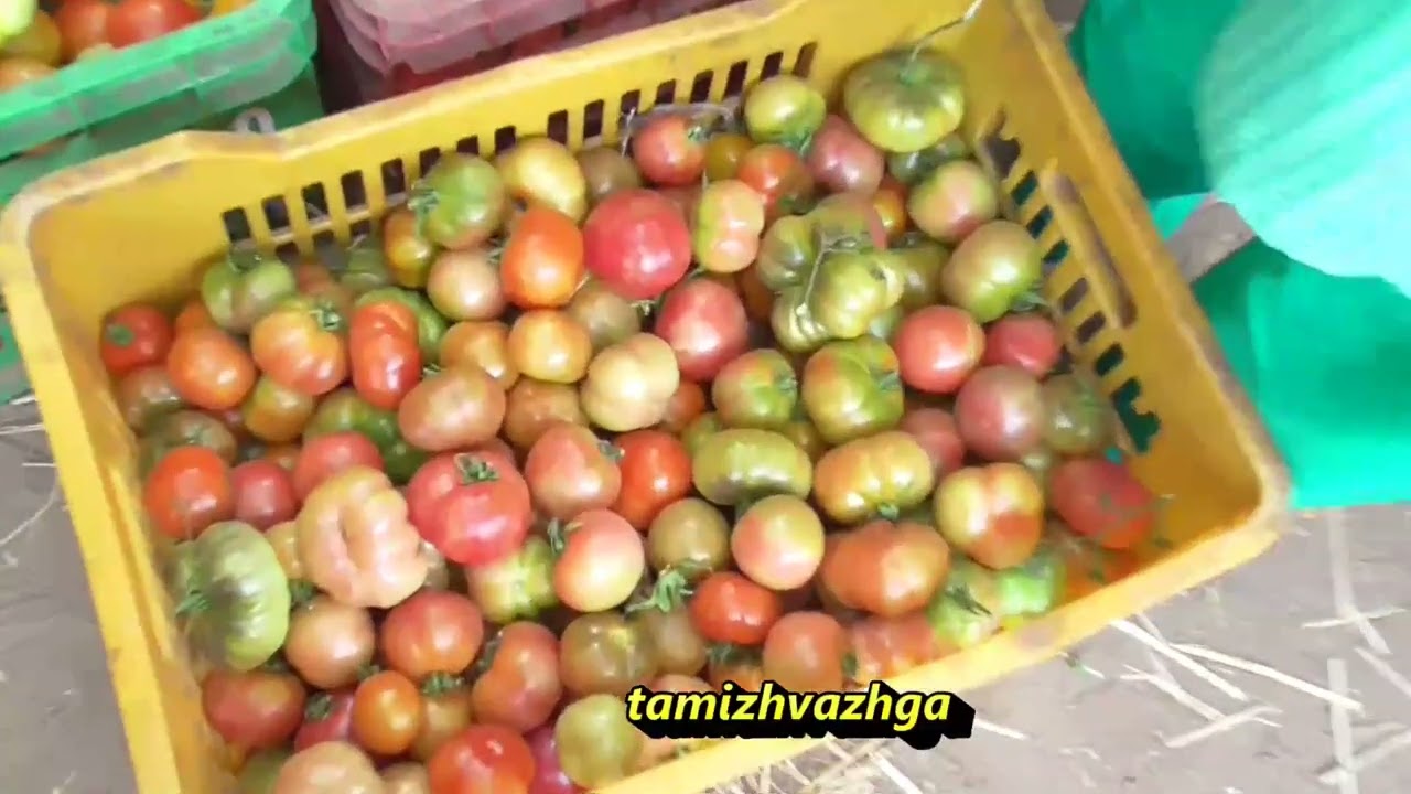 VLR  PARAMBARIYA SEEDS VEGETABLES EXHIBITION NEWS