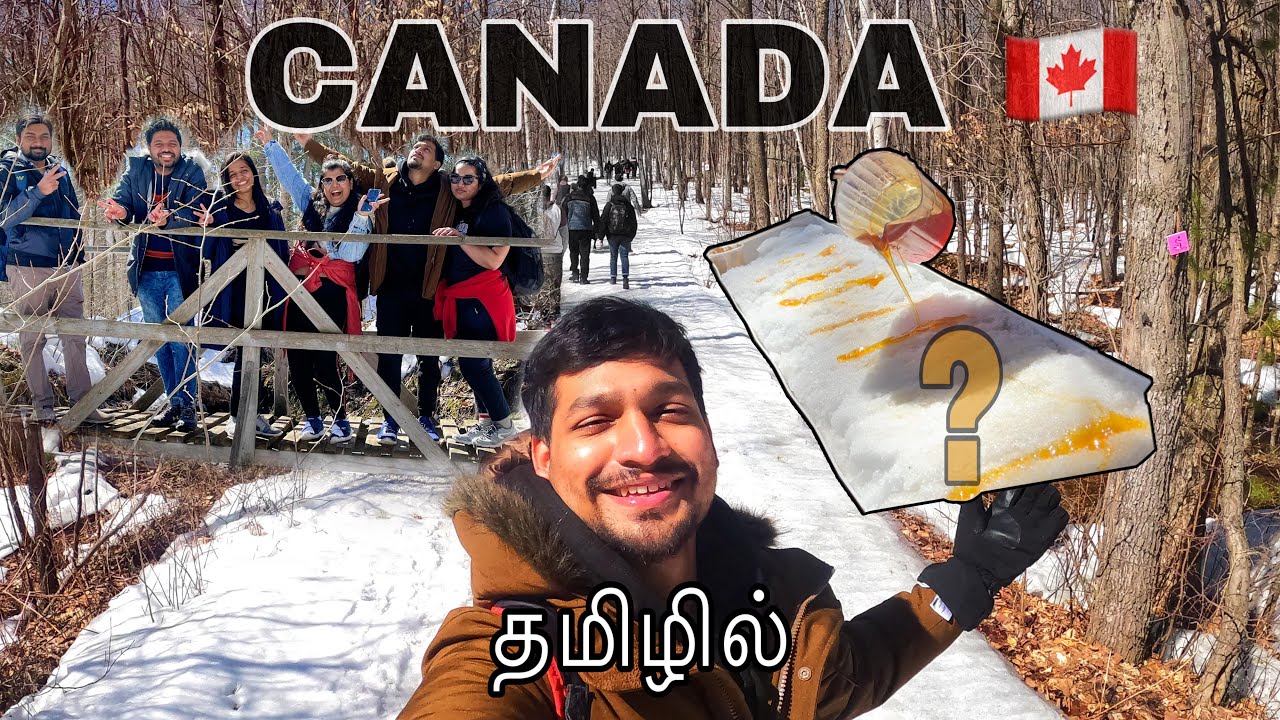Only once in a year in CANADA?😮∣ MAPLE SYRUP FACTORY ∣ தமிழில் #canada #tamil #fun #vlog #tourism