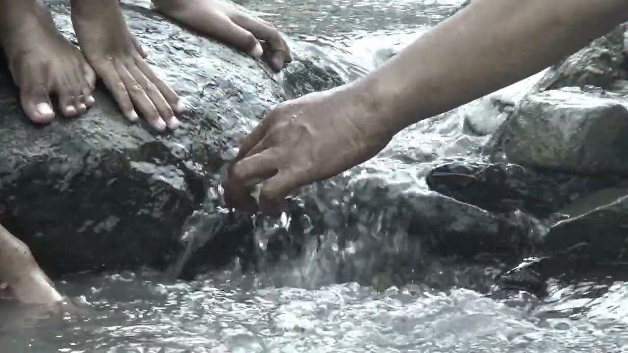 Epic Adventure in a Tropical River