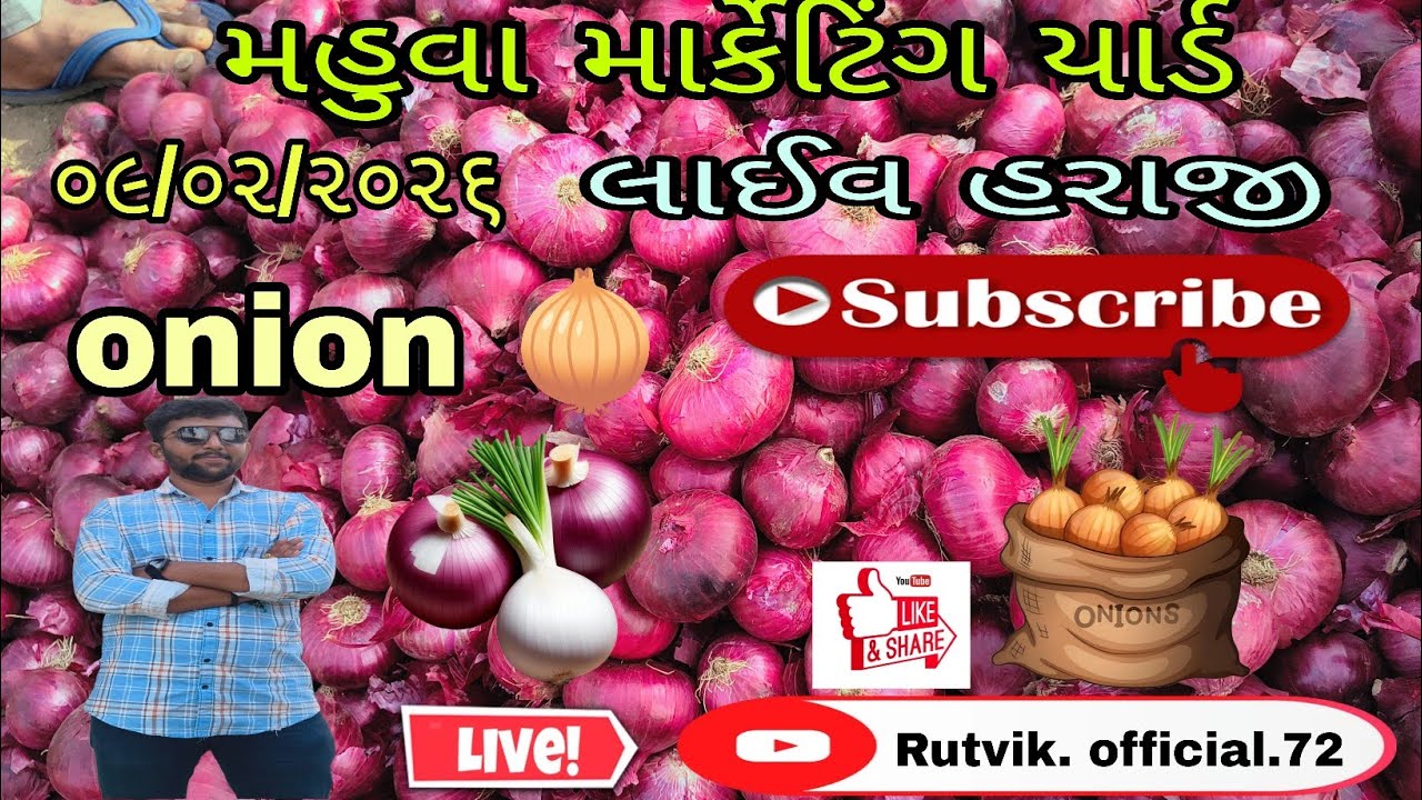 સોમવાર ના તાજા બજાર ભાવ મહુવા યાર્ડ || APMC MAHUVA|| प्याज भाव महुवा मंडी| ૦૯/૦૨/૨૦૨૬ ||