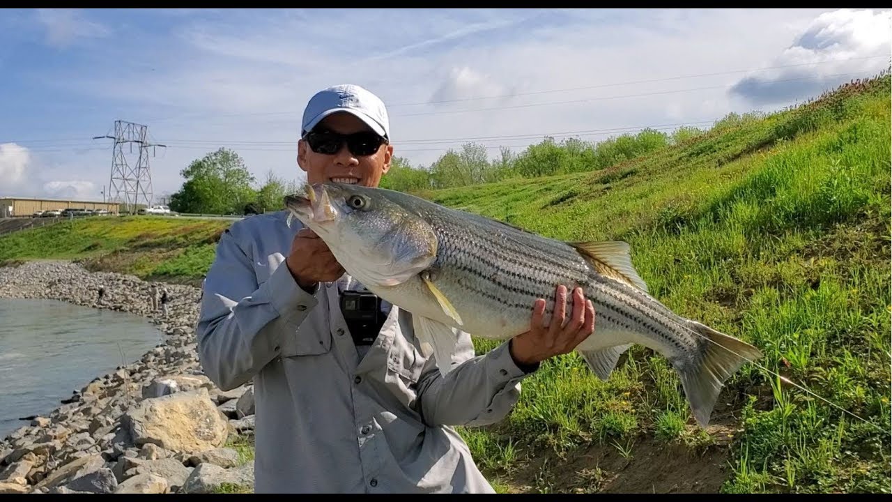 Câu Cá Giải Trí ở Mỹ--Những Cao Thủ Câu Cá Bass