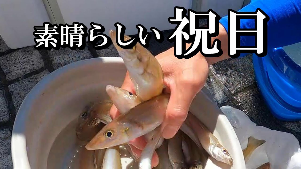 【キス釣り】湘南茅ヶ崎での釣りが猛烈に楽しすぎた　最高で愉快な仲間達