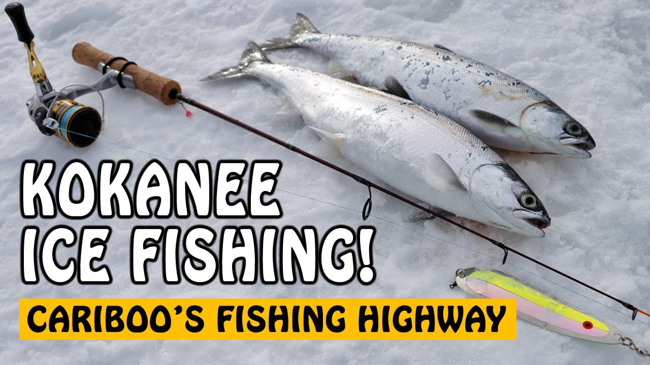 Ice Fishing for Kokanee in Cariboo BC Canada | Fishing with Rod