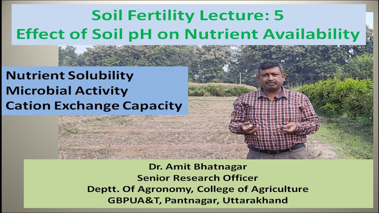 Effect of Soil pH on Nutrients Availability