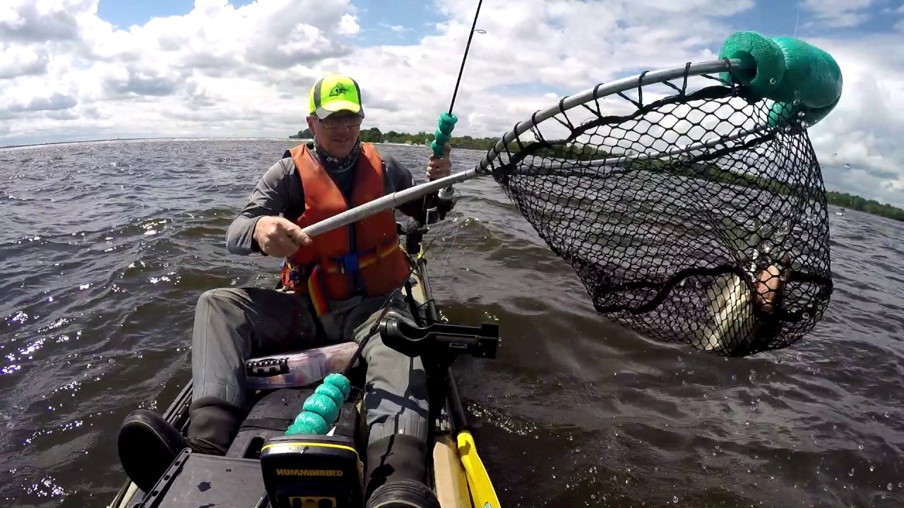 Ottawa River CATFISH!!!