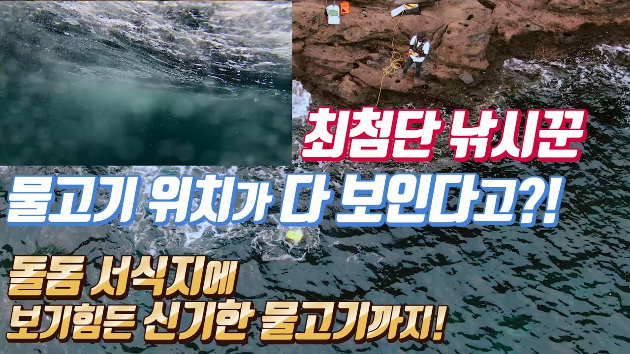 Современный рыболов! Вы ловите рыбу, глядя под водой? (ГЛАДИУС МИНИ)