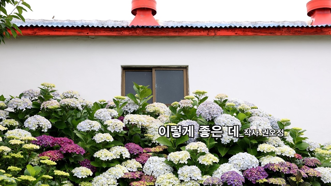특집_트로트_이렇게 좋은 데_작사 권오정_가수 핑크베리_작 편곡 수노_프로듀서 윤기영_제작유통 권오정