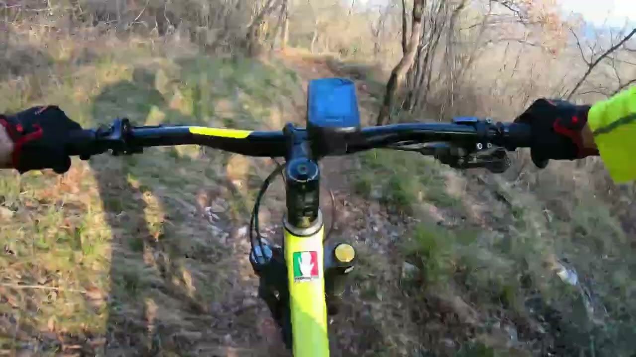 MTB - Pungitopo