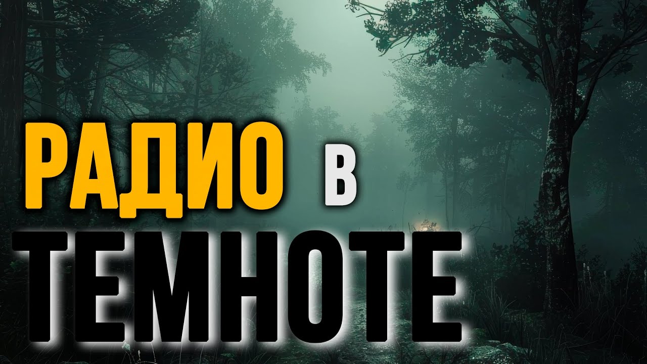 Что слышно в темном лесу?