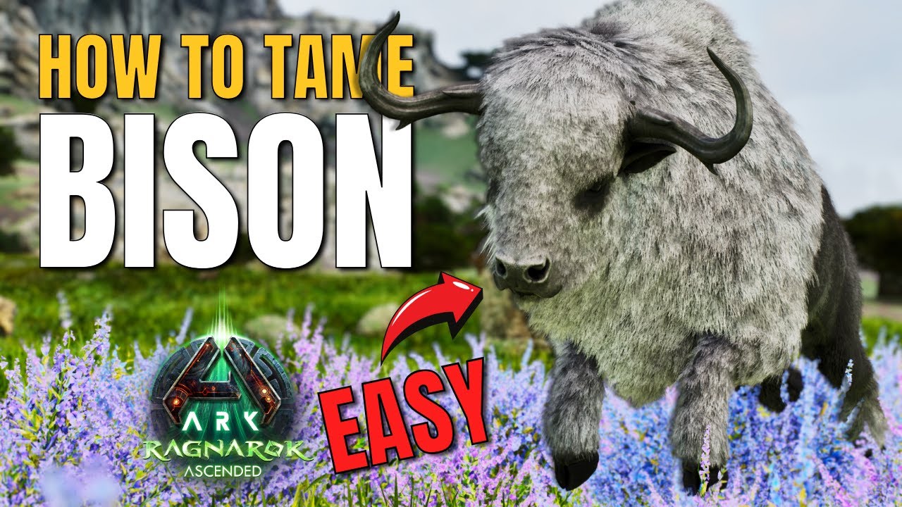 How to Tame the NEW Bison on Ragnarok | Ark Survival Ascended