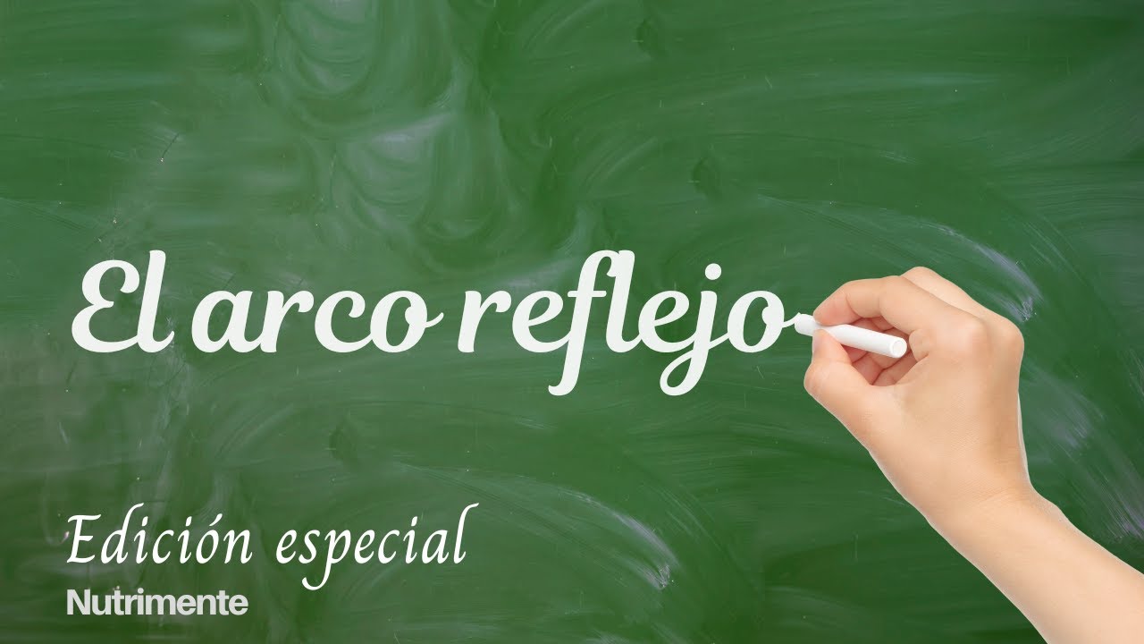 El ARCO REFLEJO  [La v&iacute;a m&aacute;s r&aacute;pida del sistema nervioso]