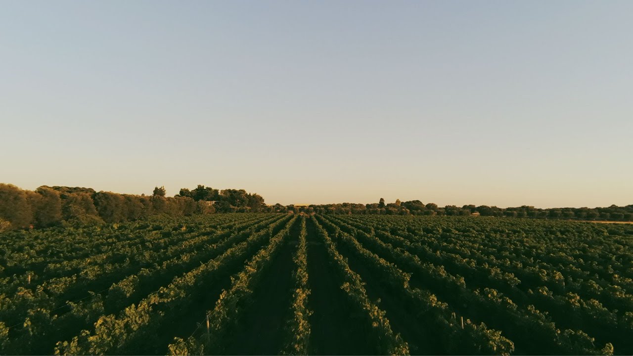 Masseria Gagliardi - B&B e Food & Beverage - Taranto, Puglia
