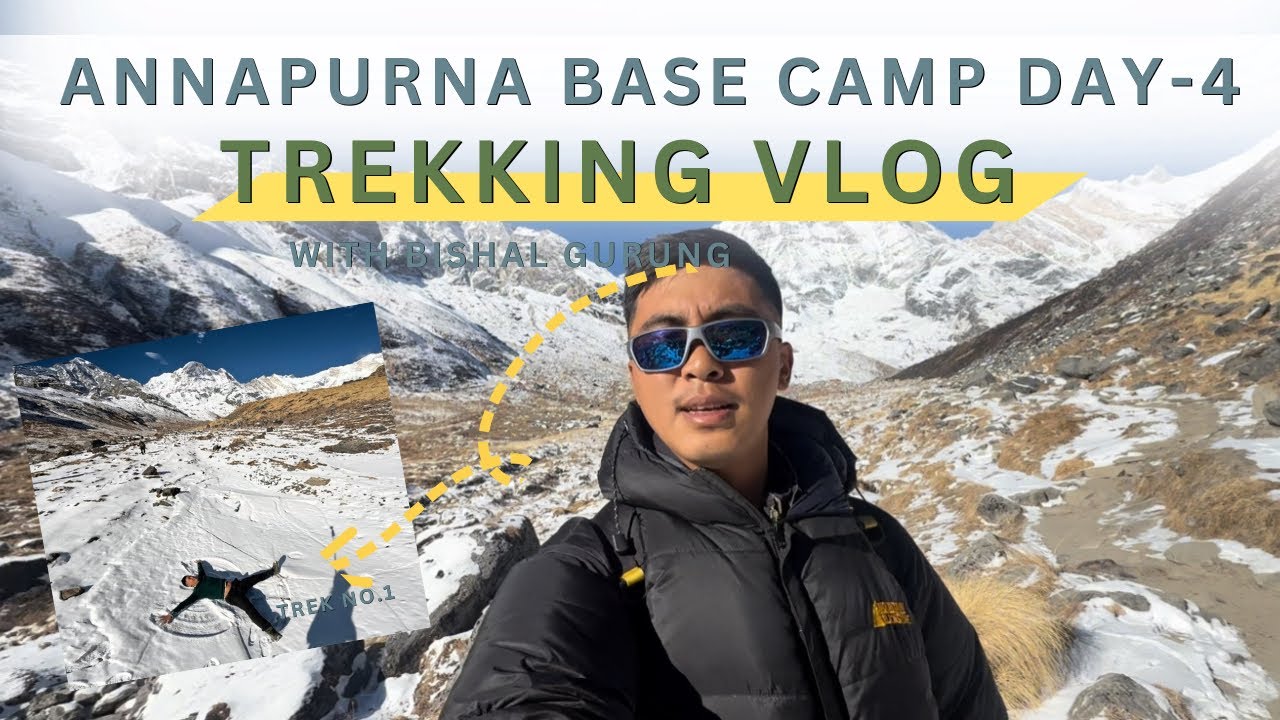 Annapurna Base Camp Trek Day-4: Return to Pokhara. Nepal🇳🇵 #annapurnabasecamptrek #treaking #nepal 