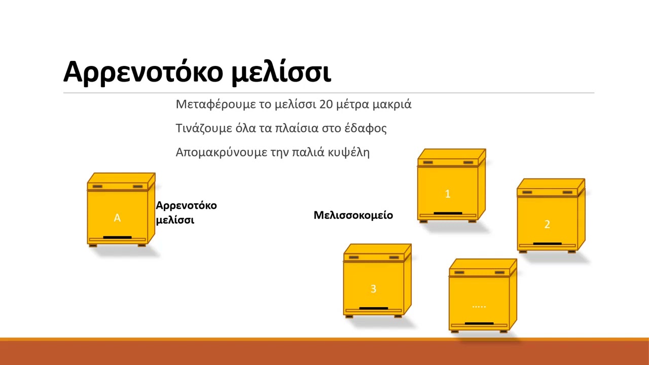 Πως σώζουμε το αρρενοτόκο μελίσσι 01.