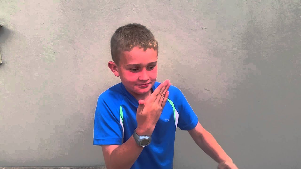 Paul Laerskool Louis Leipoldt