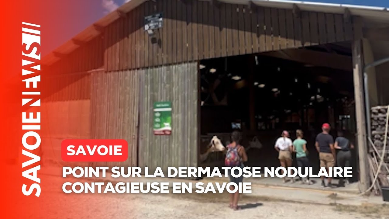 🐄 Point sur la Dermatose Nodulaire Contagieuse en Savoie