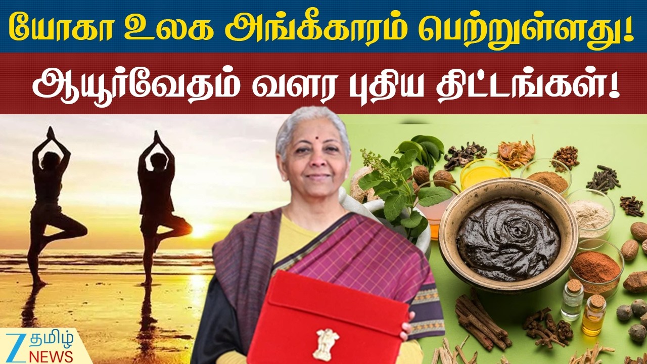 Nirmala Sitharaman | விஸ்வல் கம்யூனிகேஷன், காமிக்ஸ், கேமிங் கம்பேனிகளுக்கு முக்கியத்துவம்!