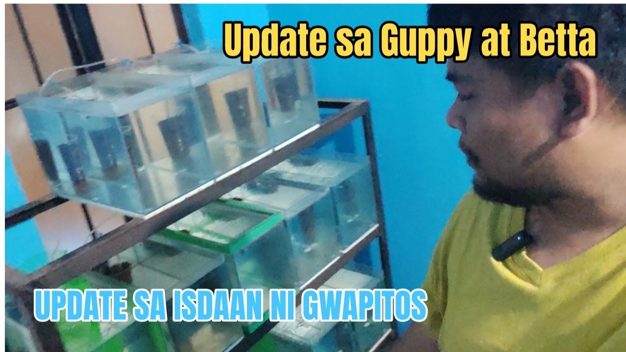 UPDATE SA GWAPITOS AQUATICS | SEPTEMBER UPDATES | 2024 | TAGALOG