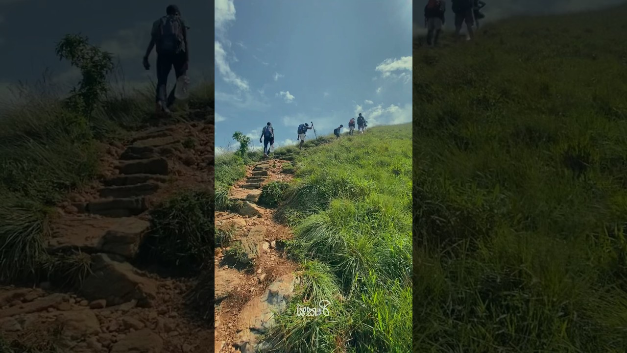 I&rsquo;m living in my dream 🥹❤️ #srilanka  #travel  #narangala #badulla #nature #hike #hikingadventures