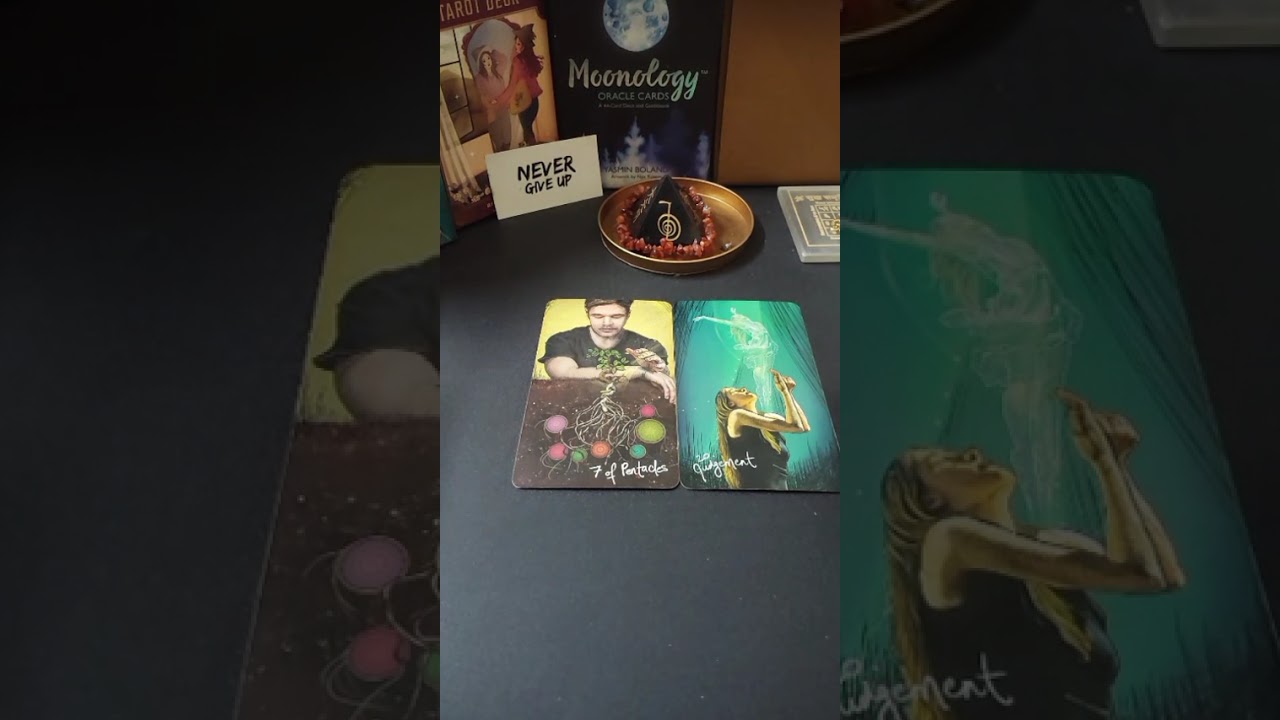 Universe Message Today! | Daily Tarot Reading Tamil ✨ #tarot #tarotreading #universemessage