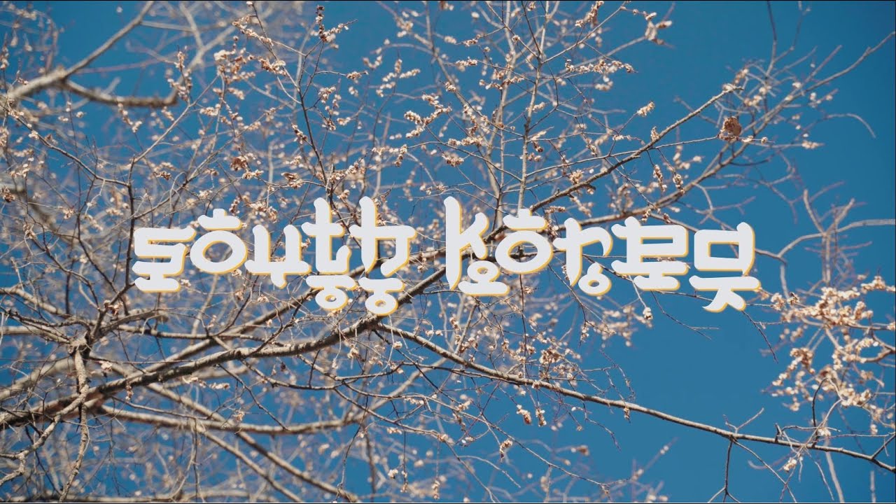 South Korea Cinematic Travel Video | DJI Osmo Pocket 3