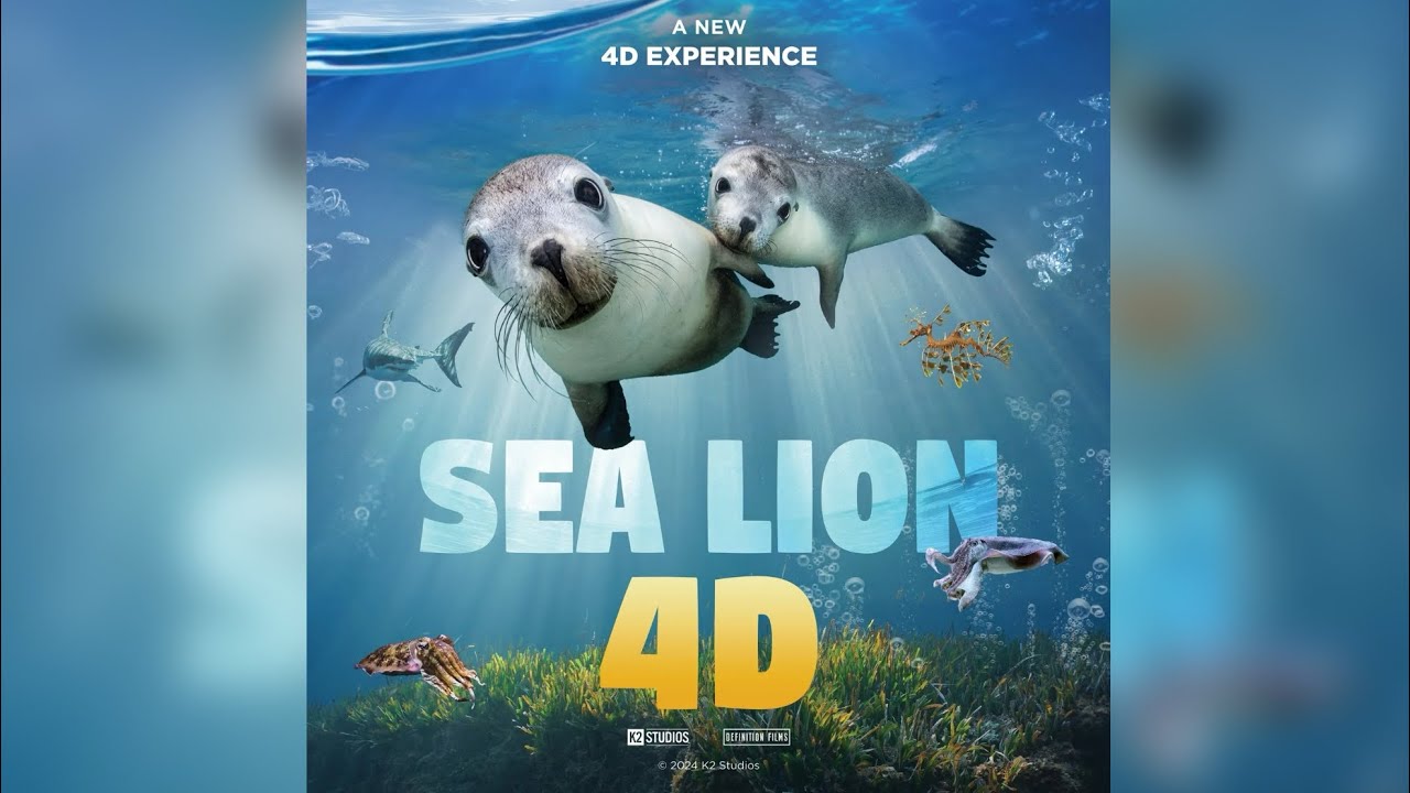 New York Aquarium Tour in Coney Island + New York Aquarium Aquatheater Show 4-D THEATER