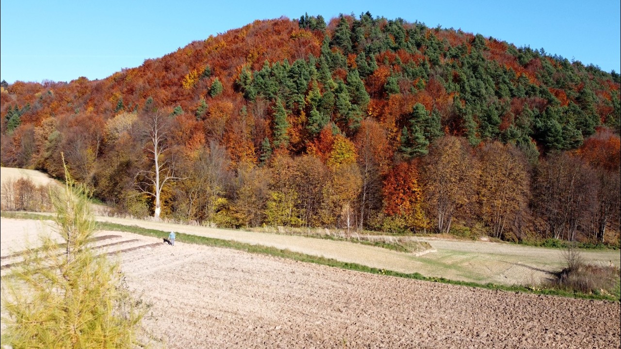 Najpiękniejsza góra na Roztoczu - Czubatka - miejsce mocy