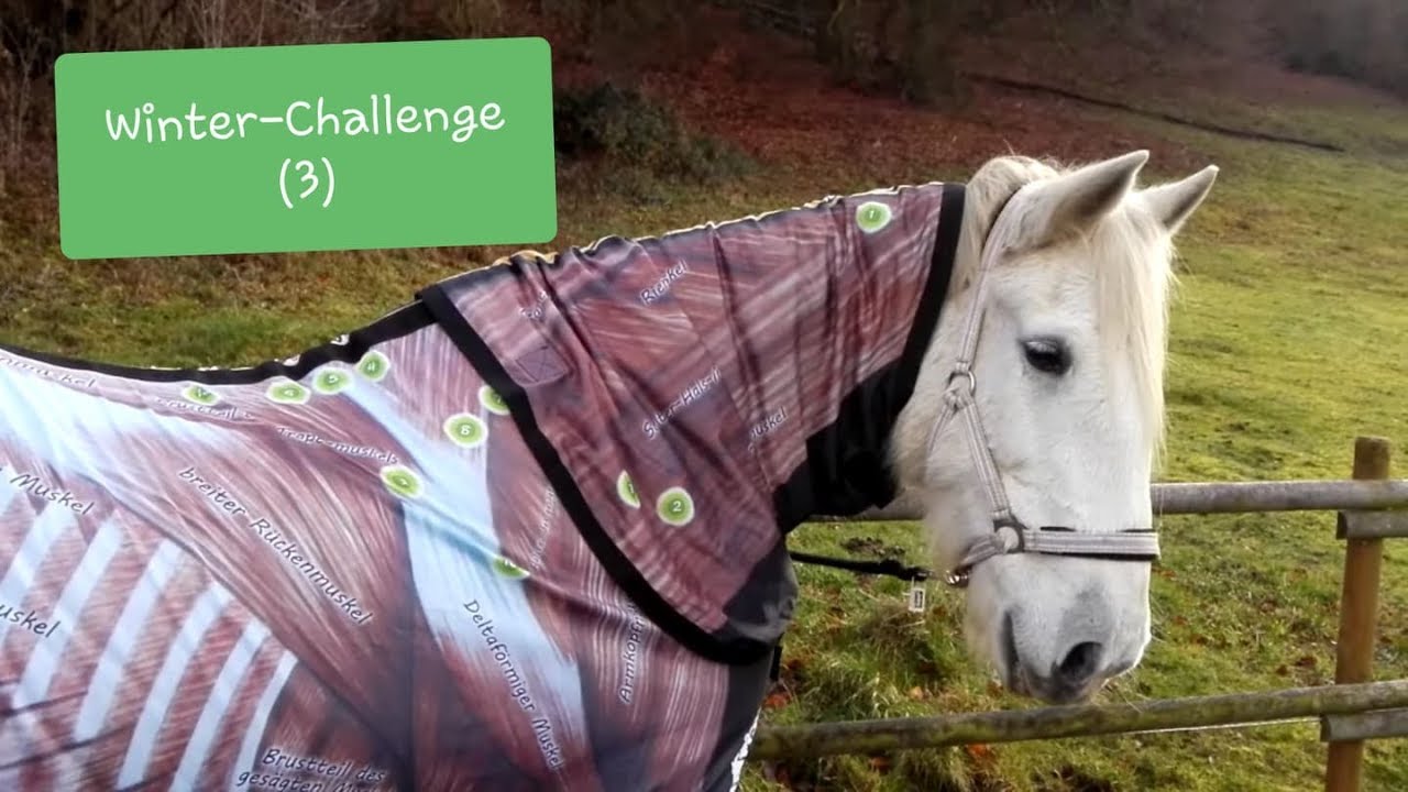 Deine Winter-Challenge (3) - Wie Du Verspannungen im Rücken lindern kannst