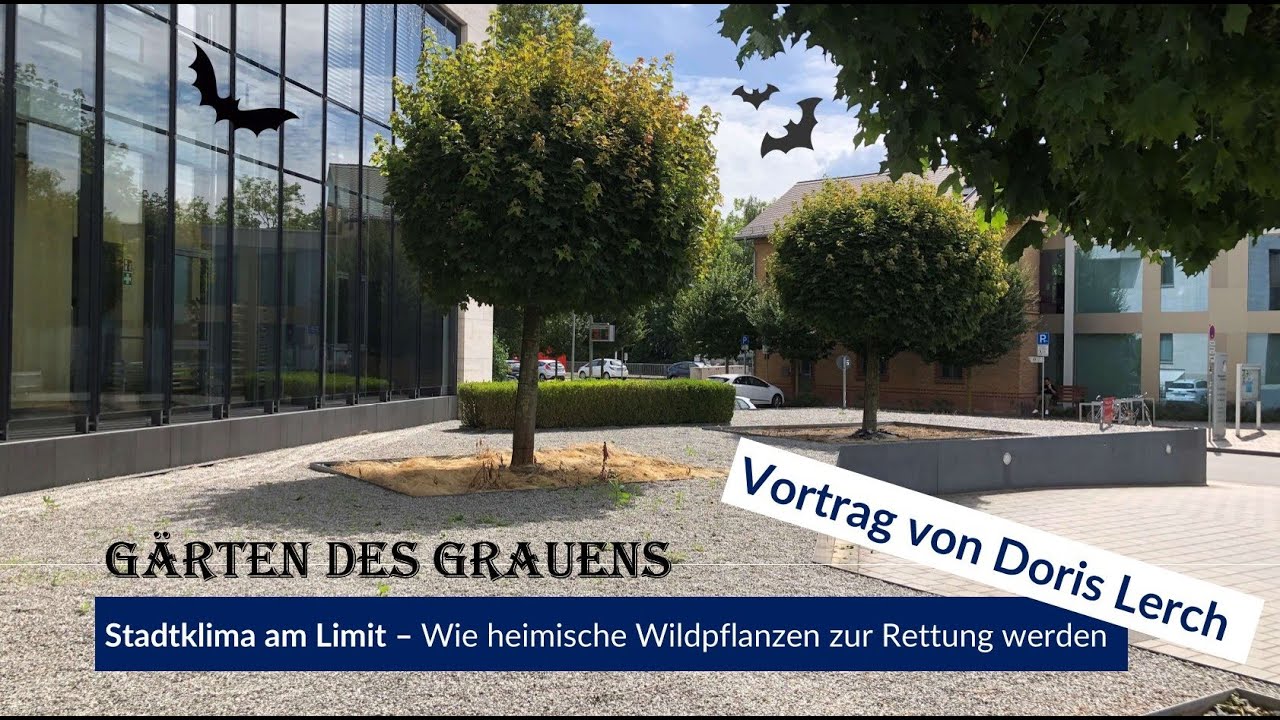 Gärten des Grauens / Stadtklima am Limit – Wie heimische Wildpflanzen zur Rettung werden
