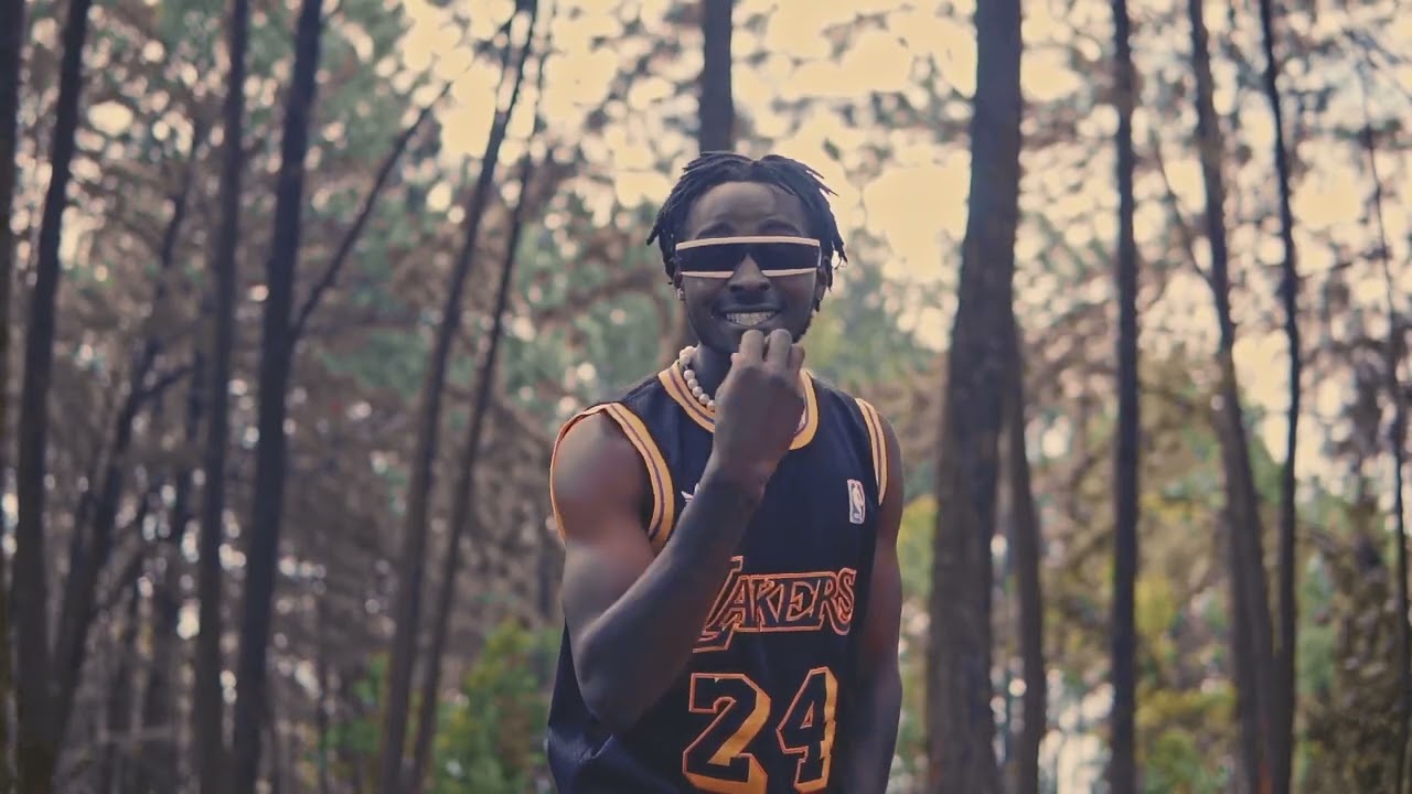 KING OF JUNGLE BY SHINE BOYZ Ft  Josh RAYMOND Video