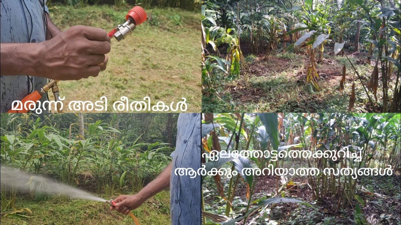 എങ്ങനെ ചിലവ് കുറയ്ക്കാം, കരുതലോടെ നീങ്ങാം..