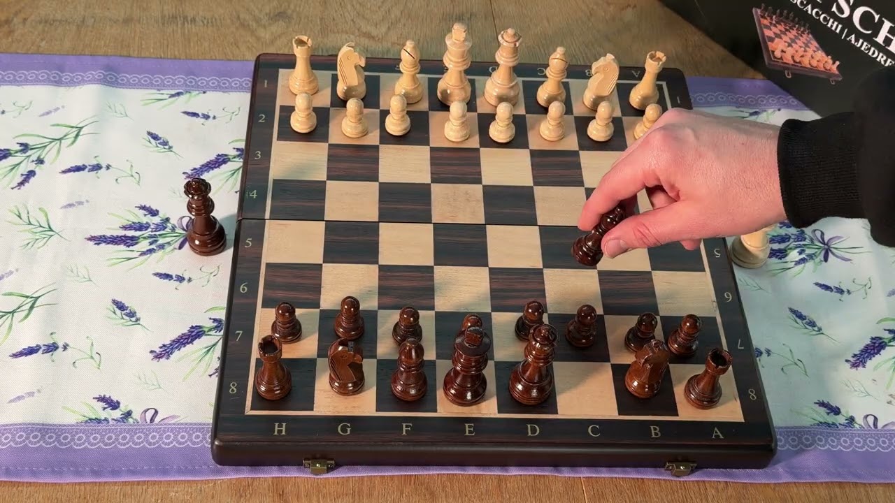 Schach Regeln: So Gehts! (Komplett-Anleitung)