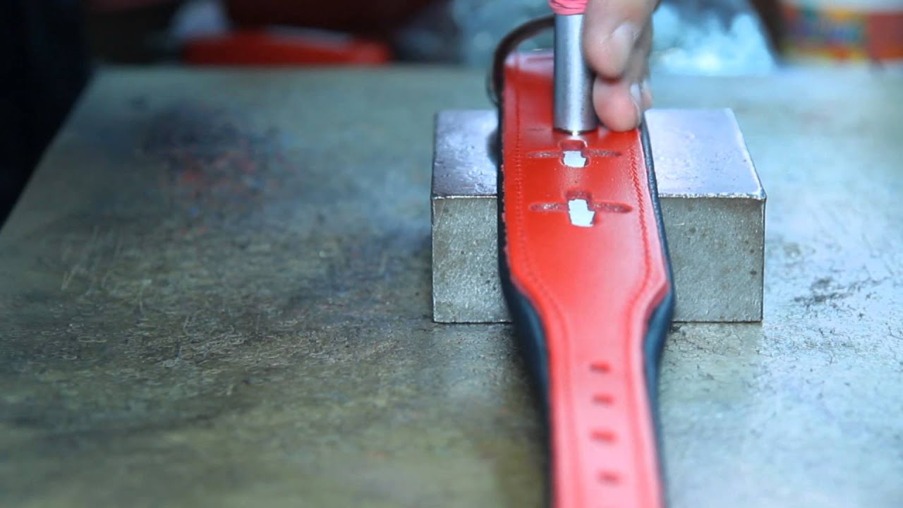 Collars Switzerland, Zooleszcz Company Poland - manufacturer