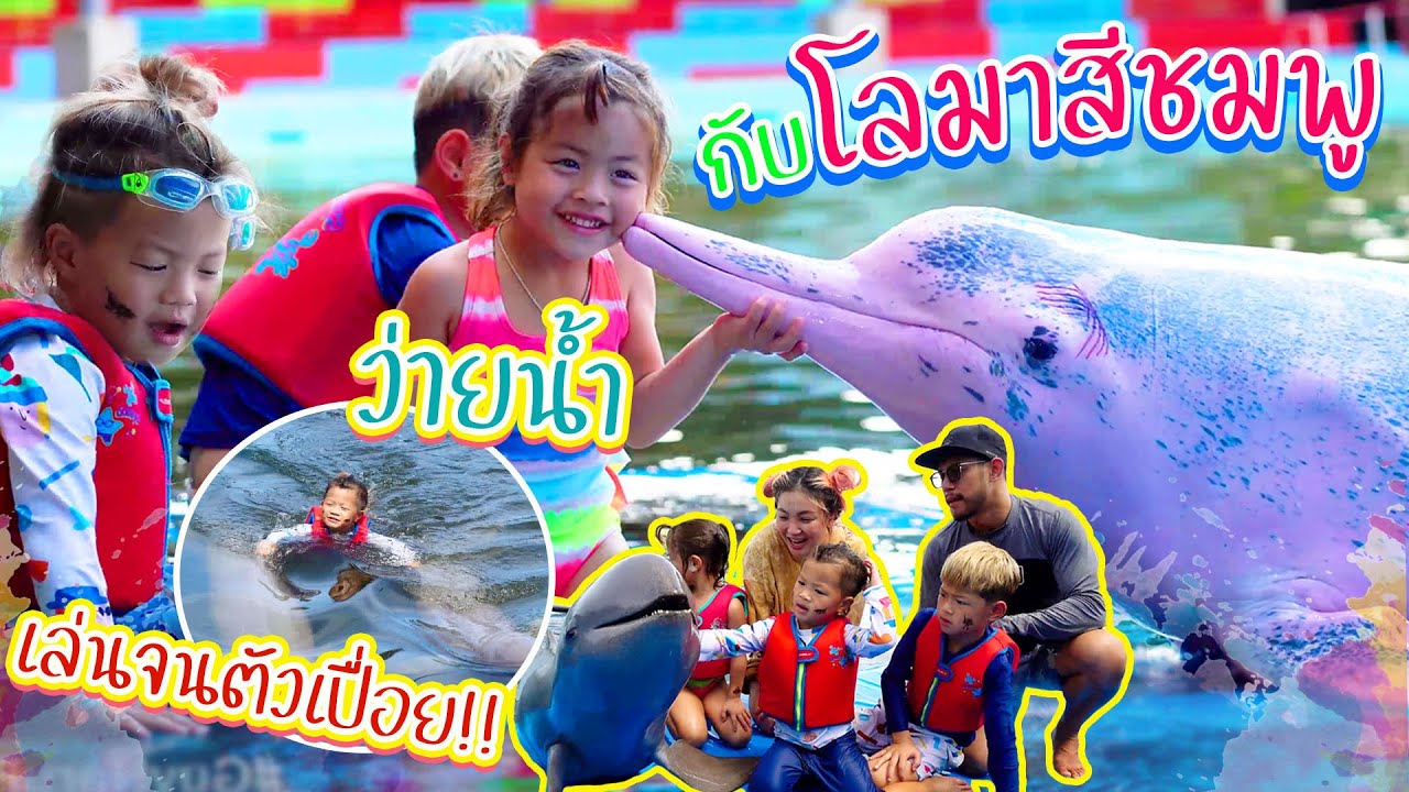 เล่นกับโลมา จนต้องขอมี๊ด๊า เอากลับบ้าน !! | กุมารTravel 173