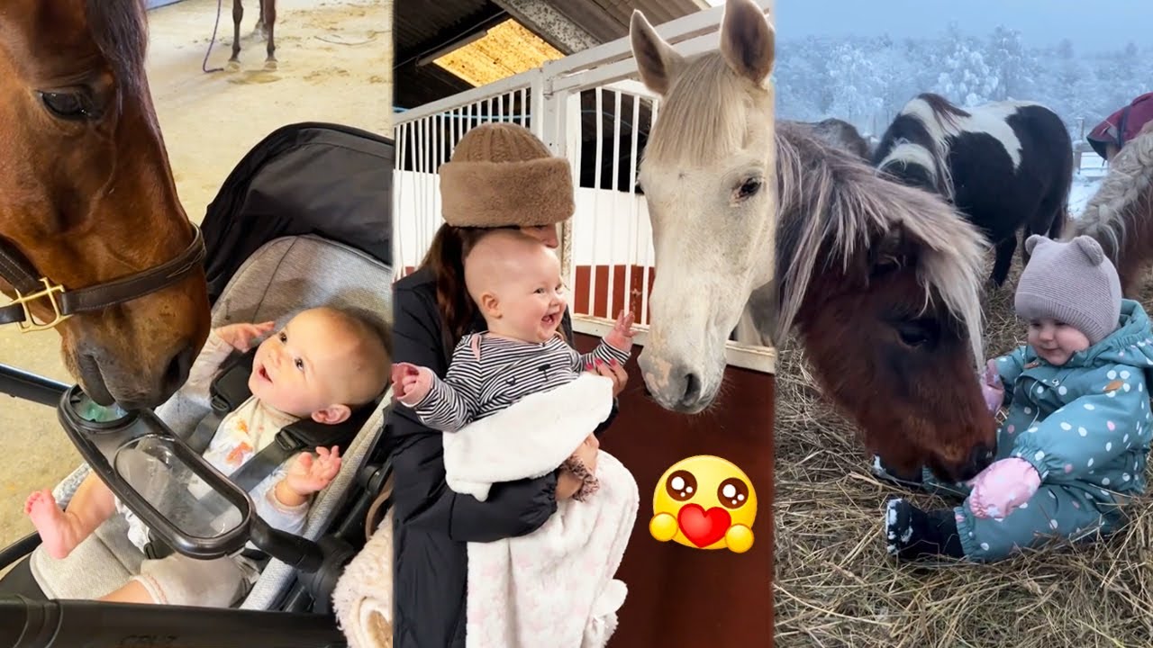 Cute Moment When Horse Meets Baby For The First Time 🐴👶Adorable horse and baby