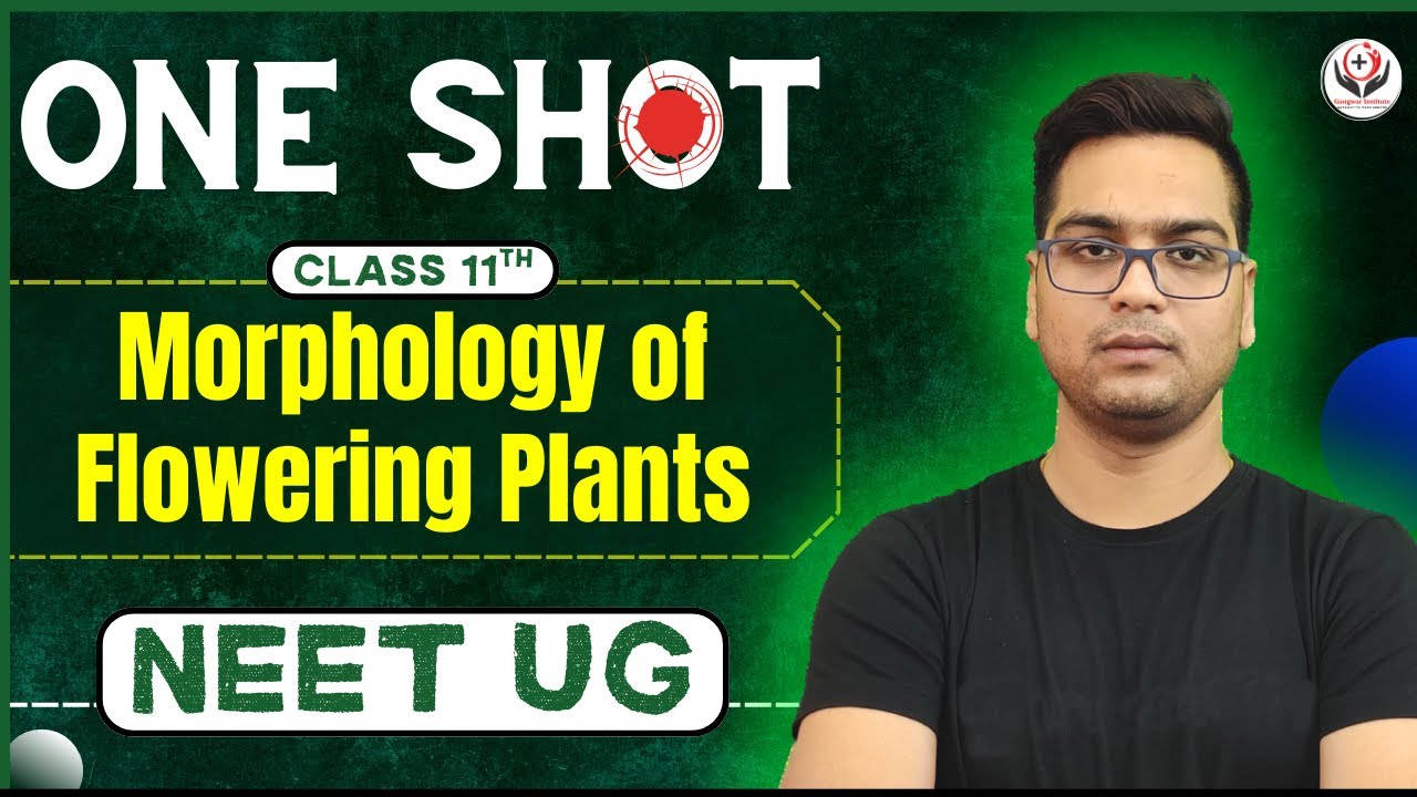 NEET 2025 | Morphology of Flowering Plants | Day - 26 | Crash Course | #gangwarinstitute