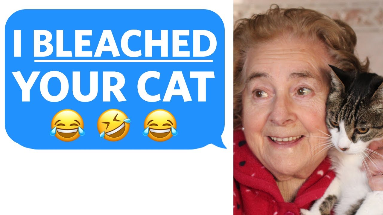 Crazy Neighbor STOLE MY CAT and BLEACHED HIM… Cat gets Revenge - Reddit Podcast