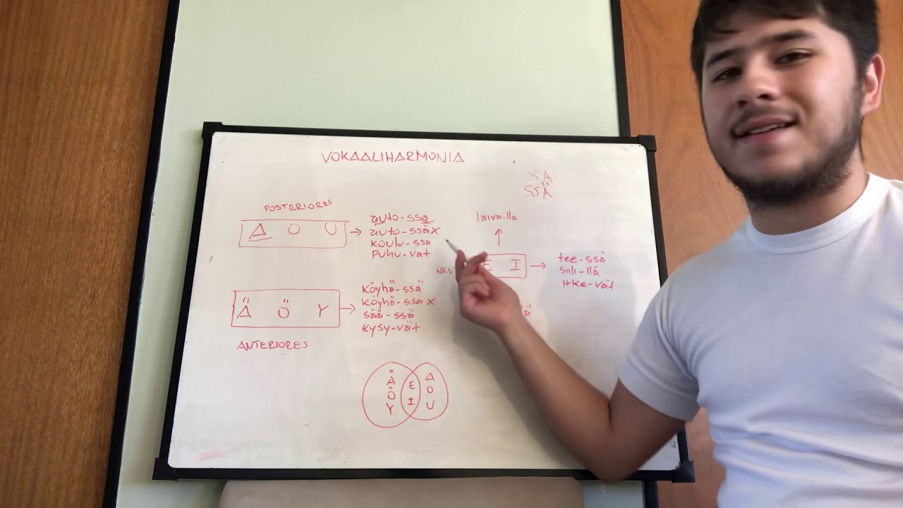 APRENDER FINÉS 🇫🇮 ARMONÍA DE VOCALES