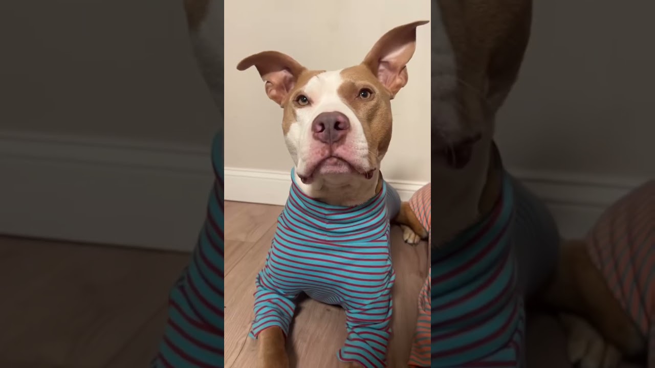 Парные вещи 👯‍♀️ 