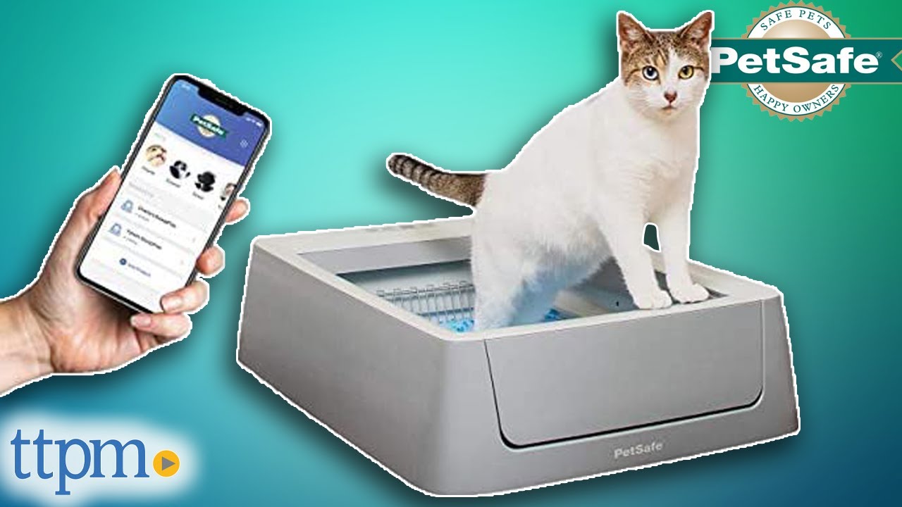 Self-Cleaning Litter Box Review - ScoopFree | PetSafe | TTPM Pet Review