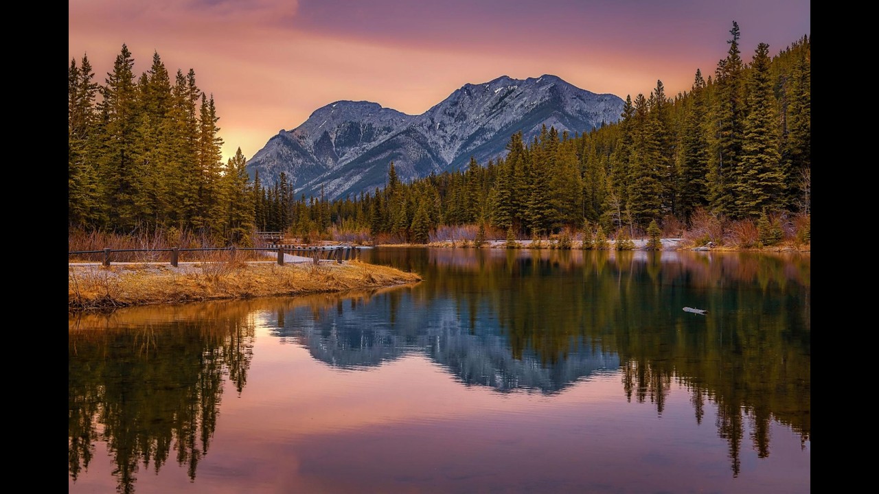 15-Min Daily Stillness | Steady Awareness Meditation