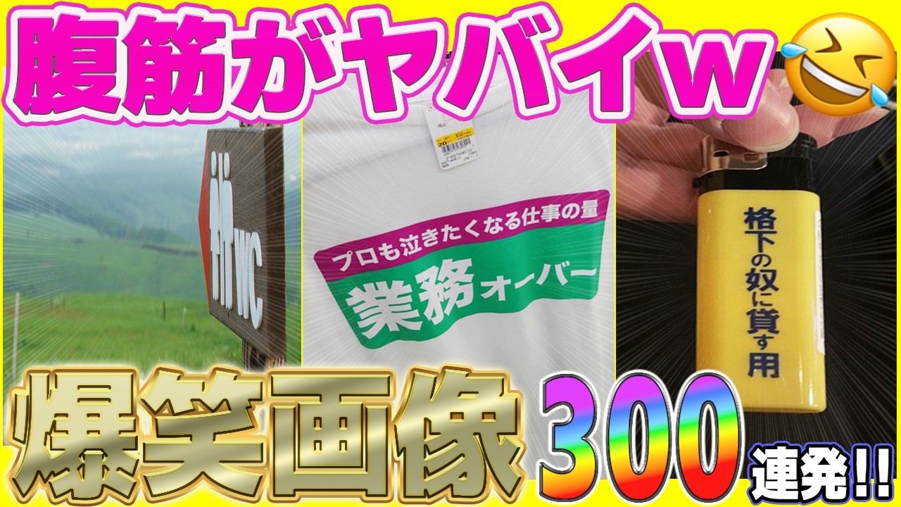 【超！総集編２０２５後編】腹筋崩壊待ったなしの爆笑画像から、絶望を感じる画像まで盛り沢山の300連発！