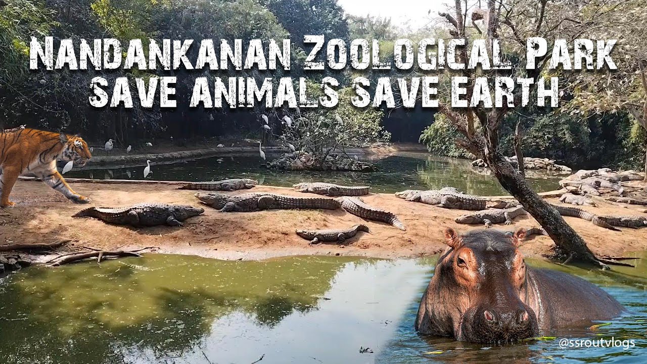 Nandankanan Zoological Park #nandankanan #Nandankanan #tigerattack #girpark#kajiranga #similipal