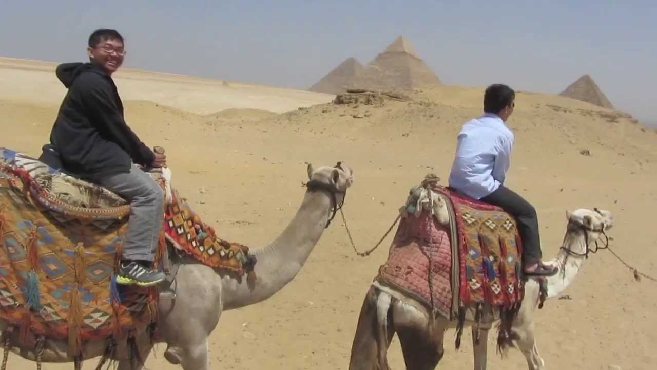 Cairo - Camel Ride [Wara Wiri Piramida Giza - Naik Unta]