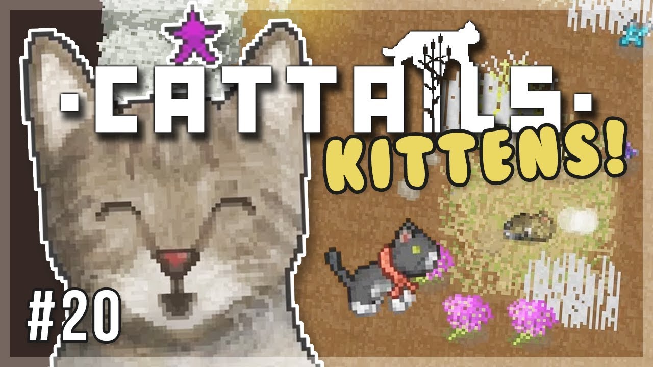 Happy Birthday! | Cattails Let's Play - Episode 20