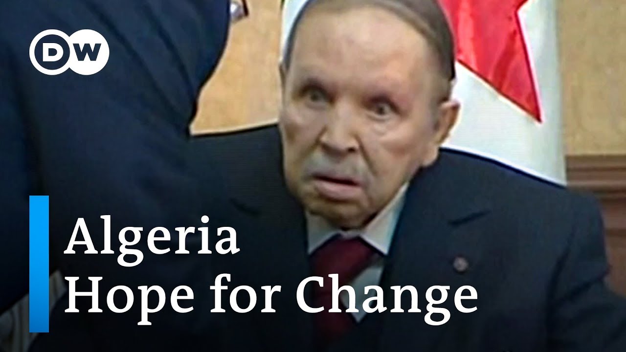 Hopes for political change grow in Algeria | DW News