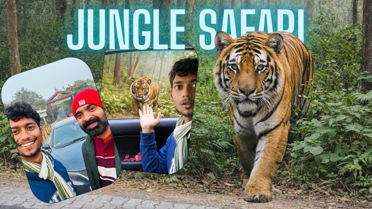 Chalo Tiger Dekhne 🐯🐅 | Jungle Ka Real King 😱🔥 #vlog #adventure #jungleadventure 