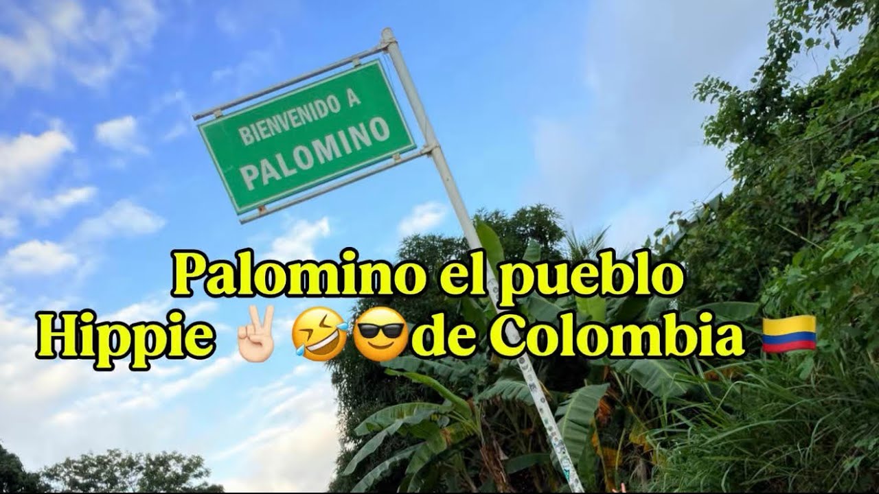 El pueblo de hippies PALOMINO  #colombia  #laguajira  #palomino  #hippie  #motoviajeros  #moteros 