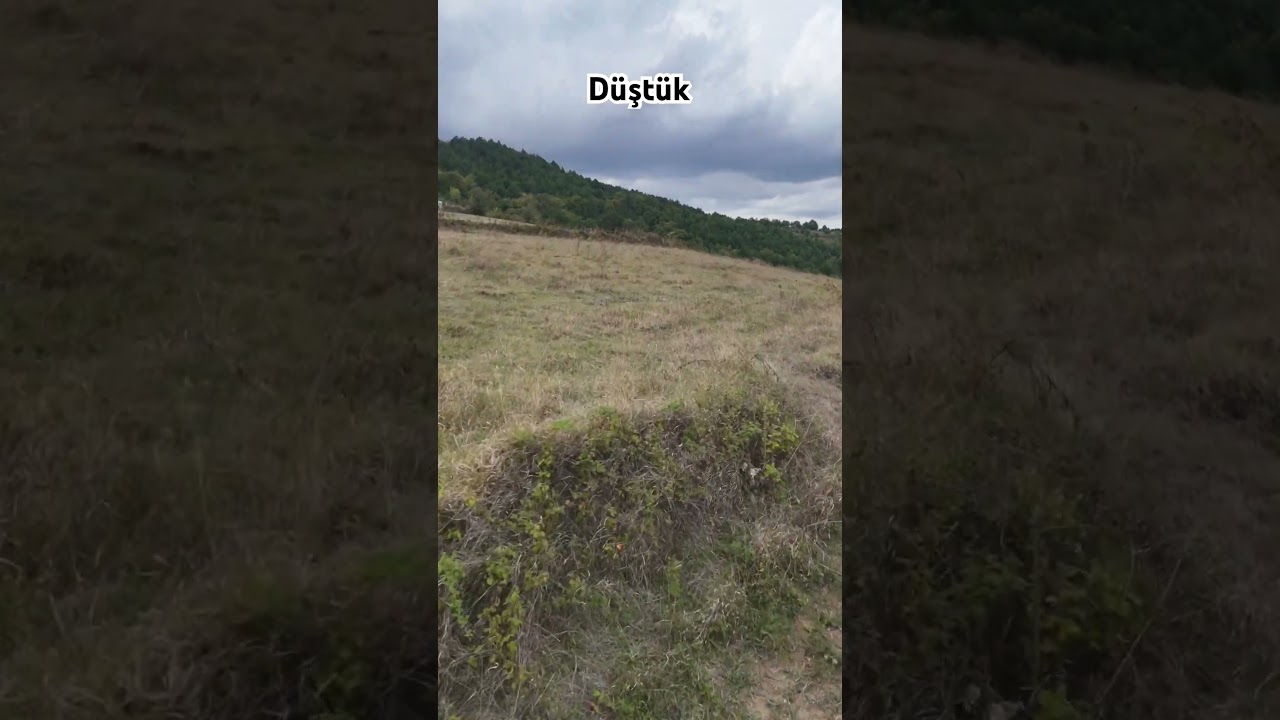 Dji mavic mini 4 Pro düşme anı